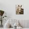 Stupell Industries Rustic Sepia tone Portrait of White Horse Canvas Wall Art